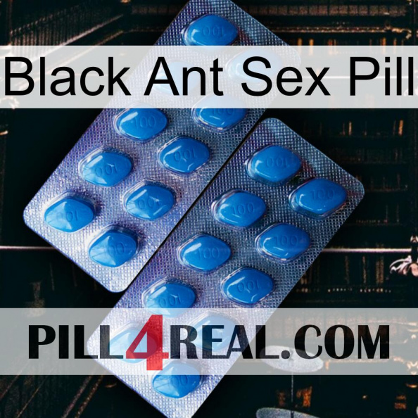 Black Ant Sex Pill viagra2.jpg